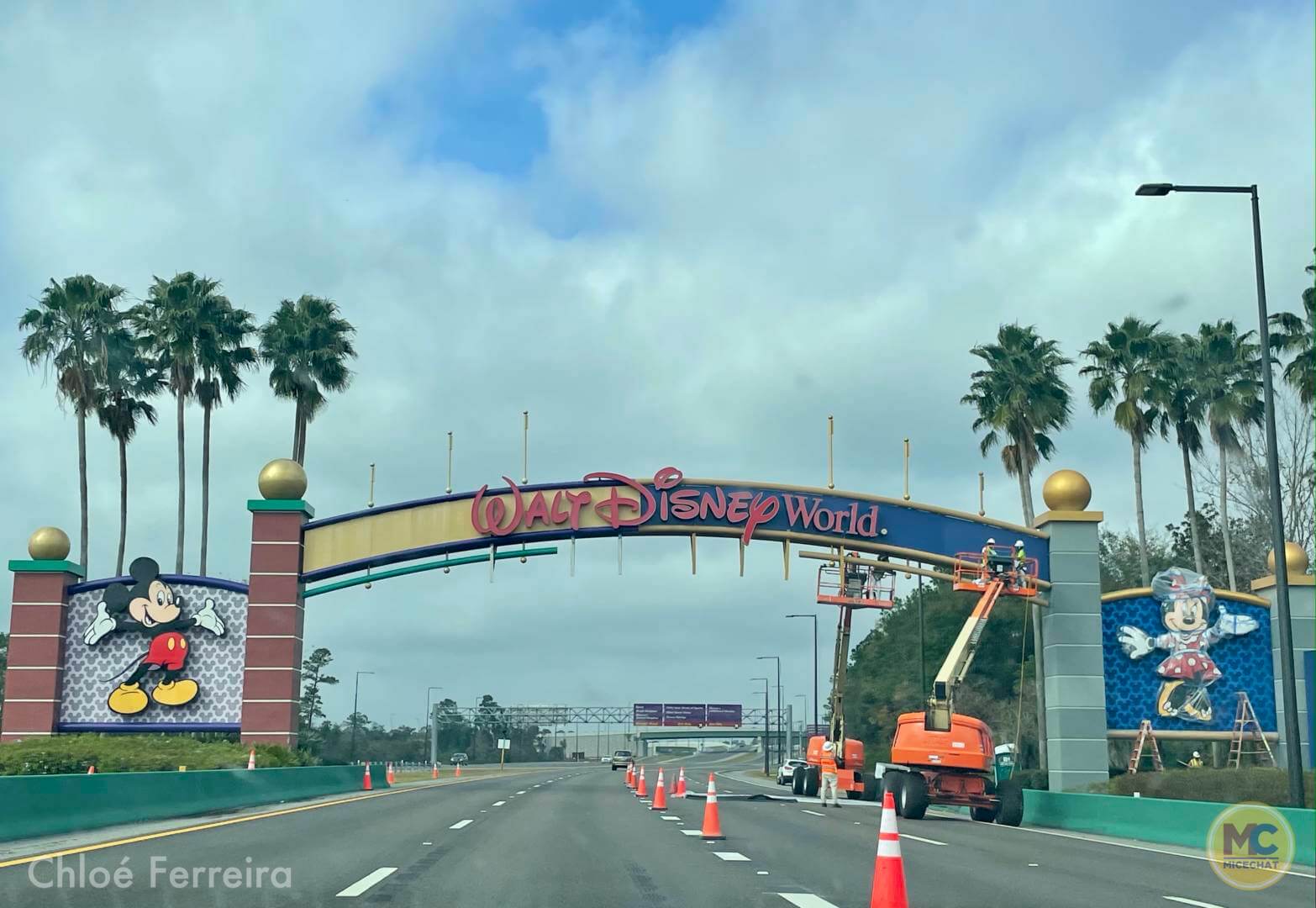 , Walt Disney World Update – Jungle Update, Blizzard Return, and Rat Watch!