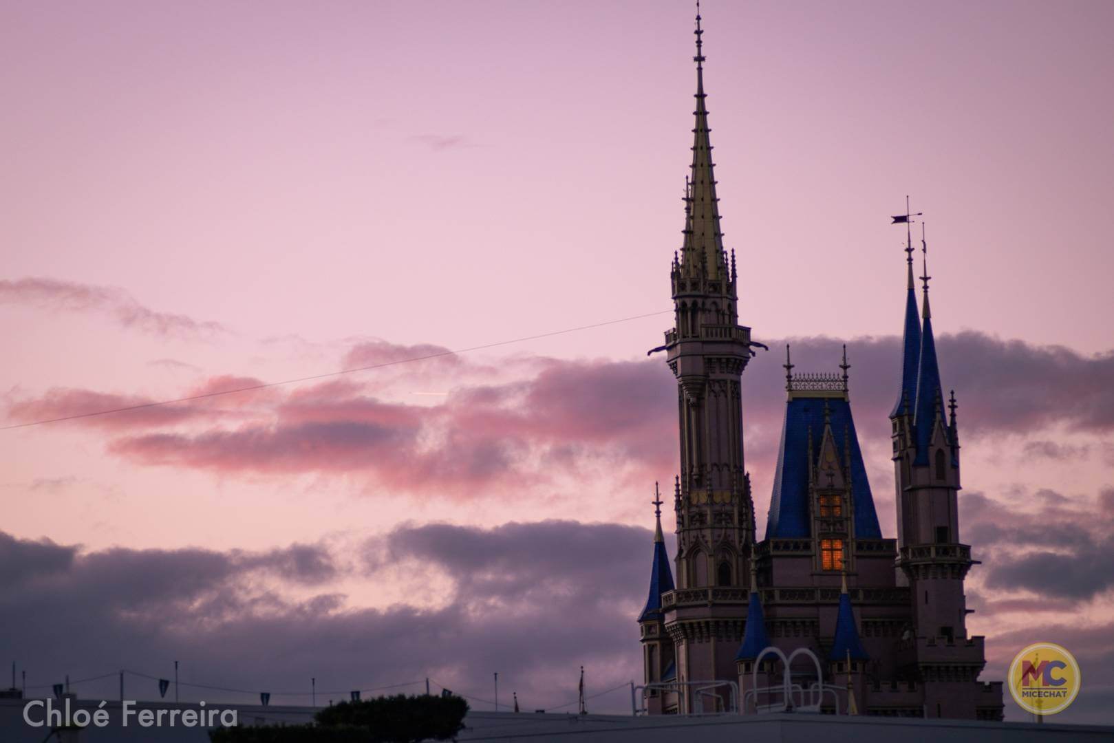 , 2022 Walt Disney World Vacation Packages NOW AVAILABLE!