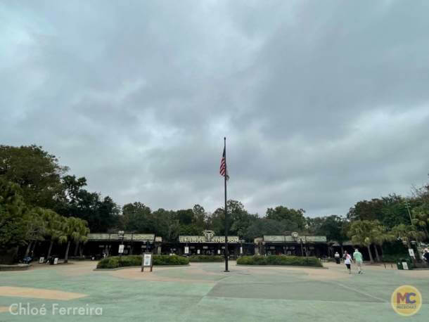 , Walt Disney World Update – Jungle Update, Blizzard Return, and Rat Watch!