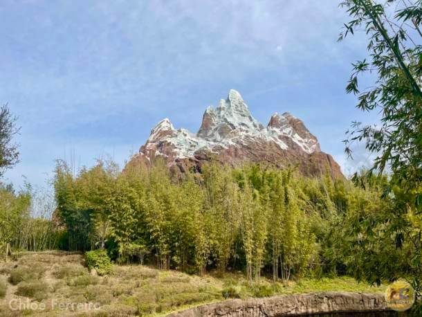 , Walt Disney World Update – Jungle Update, Blizzard Return, and Rat Watch!