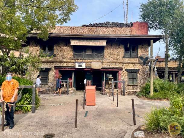 , Walt Disney World Update – Jungle Update, Blizzard Return, and Rat Watch!
