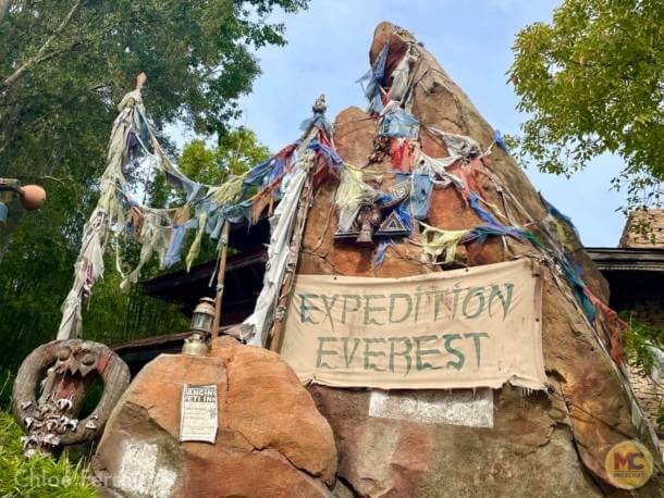 , Walt Disney World Update – Jungle Update, Blizzard Return, and Rat Watch!