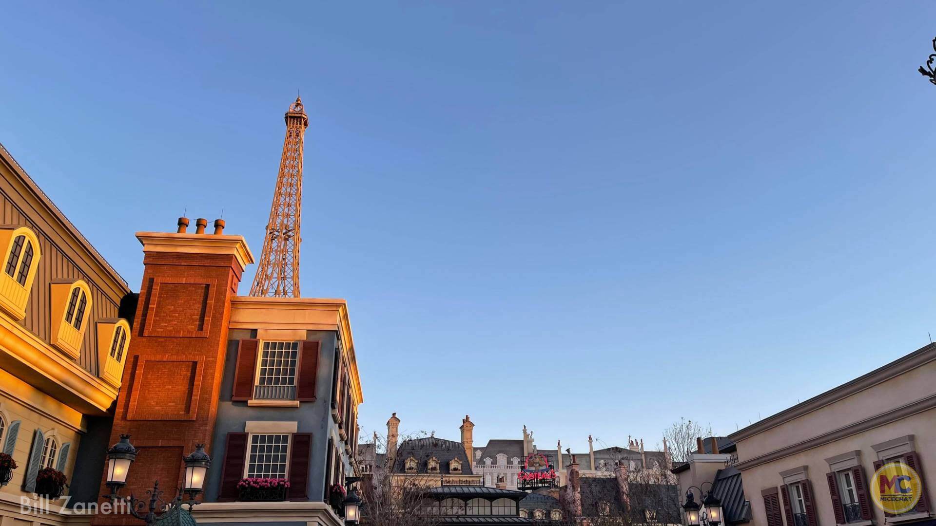 , Walt Disney World Update – Jungle Update, Blizzard Return, and Rat Watch!