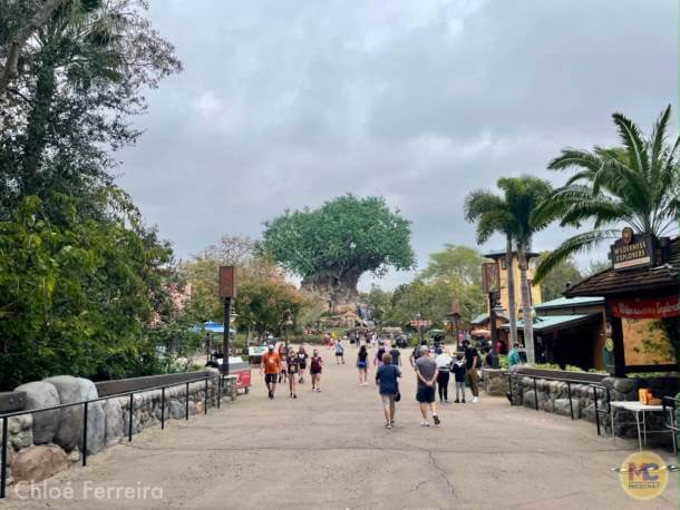 , Walt Disney World Update &#8211; Jungle Update, Blizzard Return, and Rat Watch!