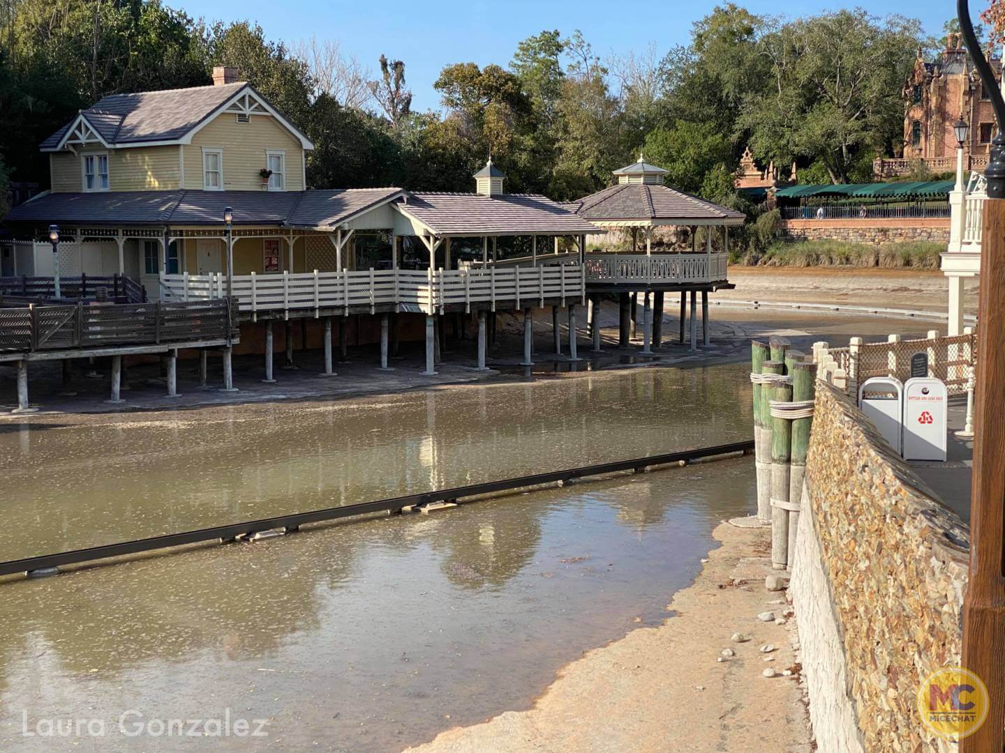 , Walt Disney World Update – Jungle Update, Blizzard Return, and Rat Watch!