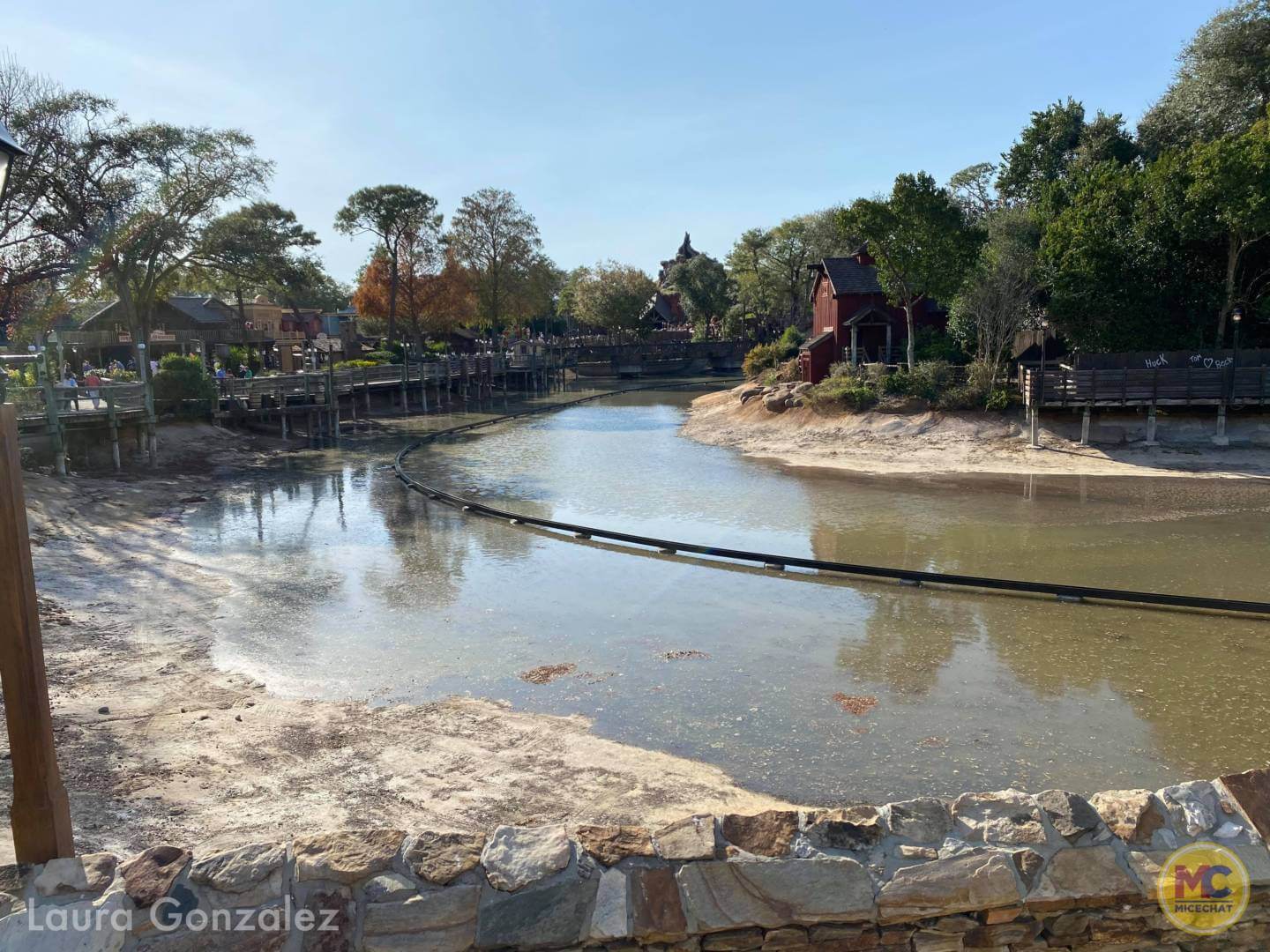 , Walt Disney World Update – Jungle Update, Blizzard Return, and Rat Watch!
