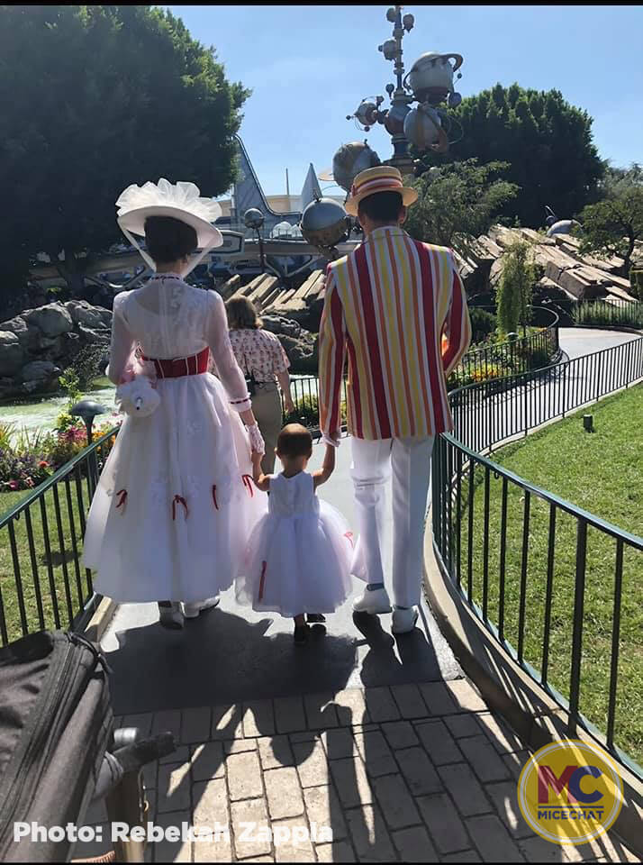 , Disneyland Update – All Good Things Must Come To An End