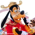 DCA – Lunar New Year