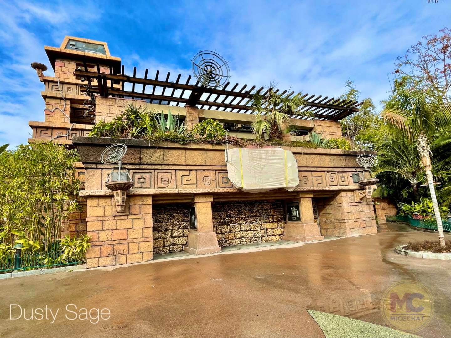 , A Weekend of Reopenings and a Star Wars Surprise