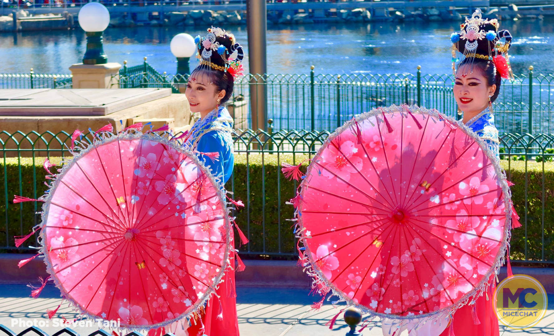 , Disneyland Update: Ticket Access, Potential Pricing, and New Features Ahead!