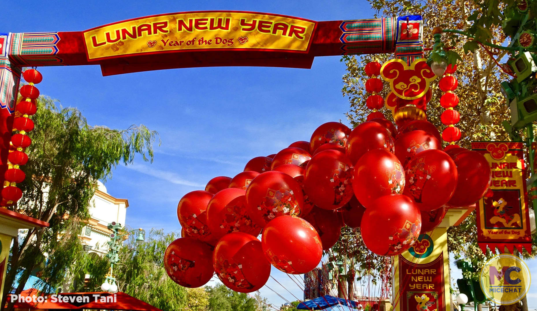 , Disneyland Update: Ticket Access, Potential Pricing, and New Features Ahead!