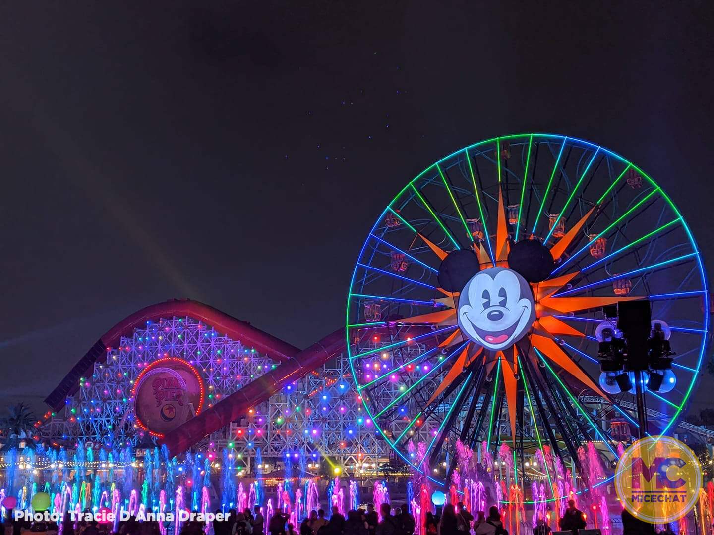 , Disneyland Update – Survey Says & Jungle News!