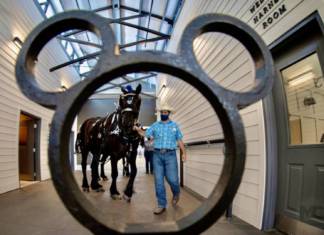 Horsin’ Around at Walt Disney World’s Tri-Circle-D Ranch