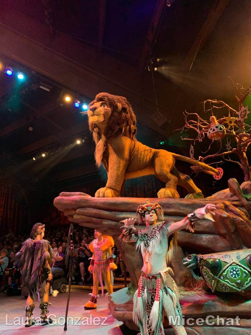 , 2022 Walt Disney World Vacation Packages NOW AVAILABLE!