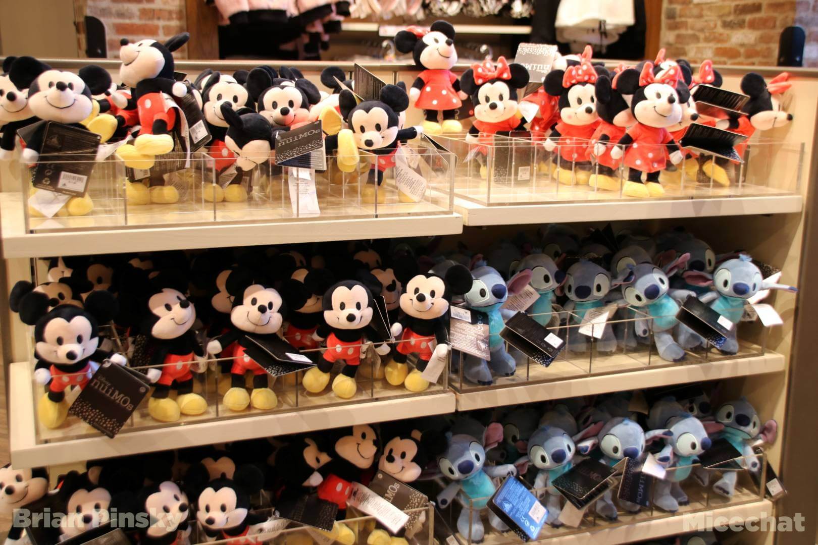 , Disneyland Update: Ticket Access, Potential Pricing, and New Features Ahead!