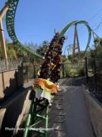 Busch Gardens Tampa Cheetah Hunt