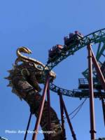 Busch Gardens Tampa Cobras Curse