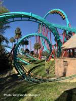 Busch Gardens Tampa Kumba