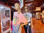 Celebrate Soulfully Princess Tiana merchandise Disney Springs MiceChat