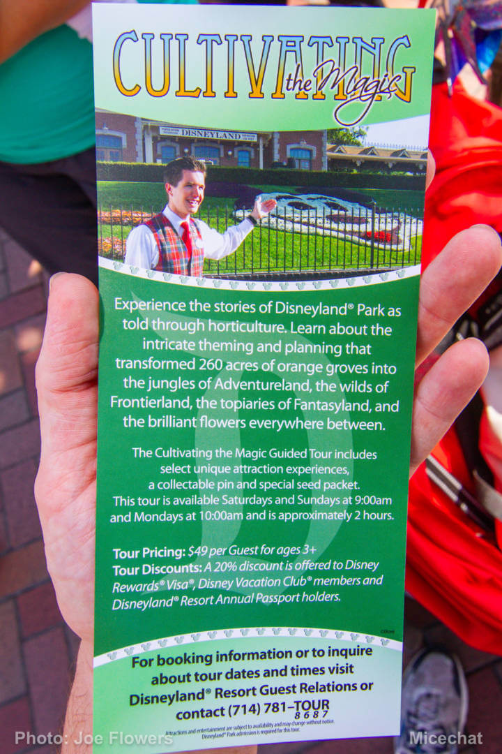 , Celebrating Spring with Disneyland’s Cultivating the Magic Tour