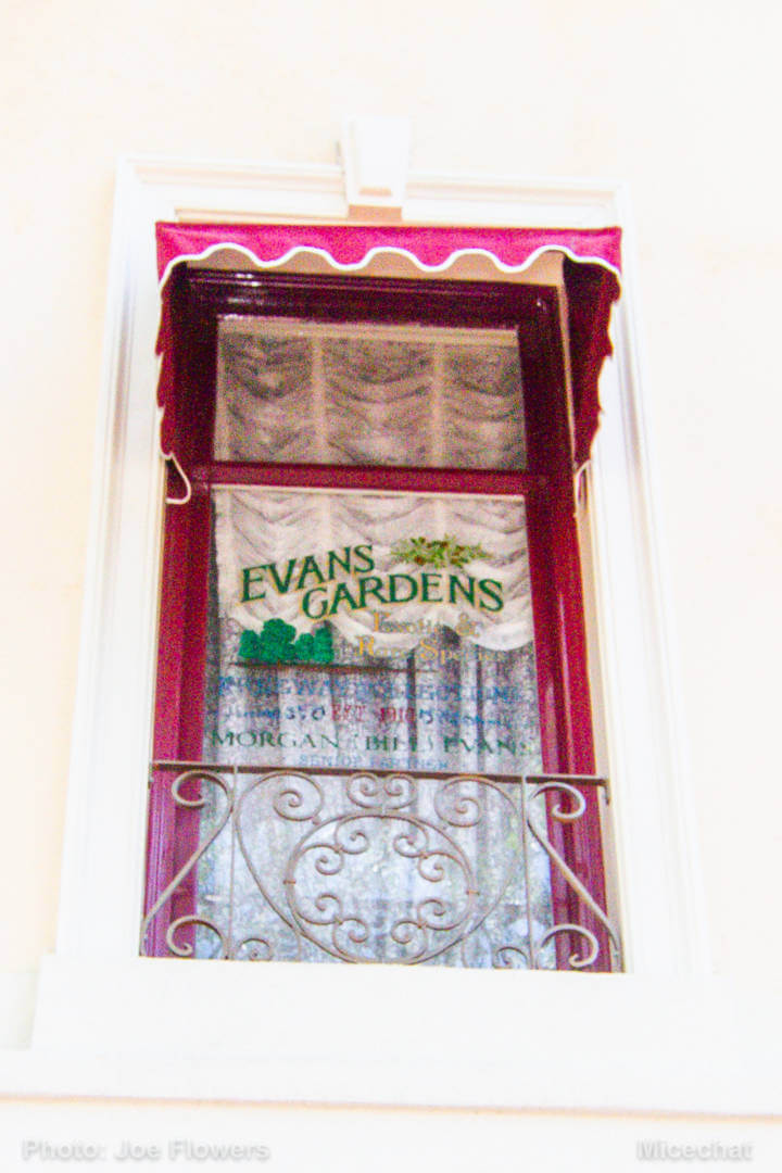 , Celebrating Spring with Disneyland’s Cultivating the Magic Tour