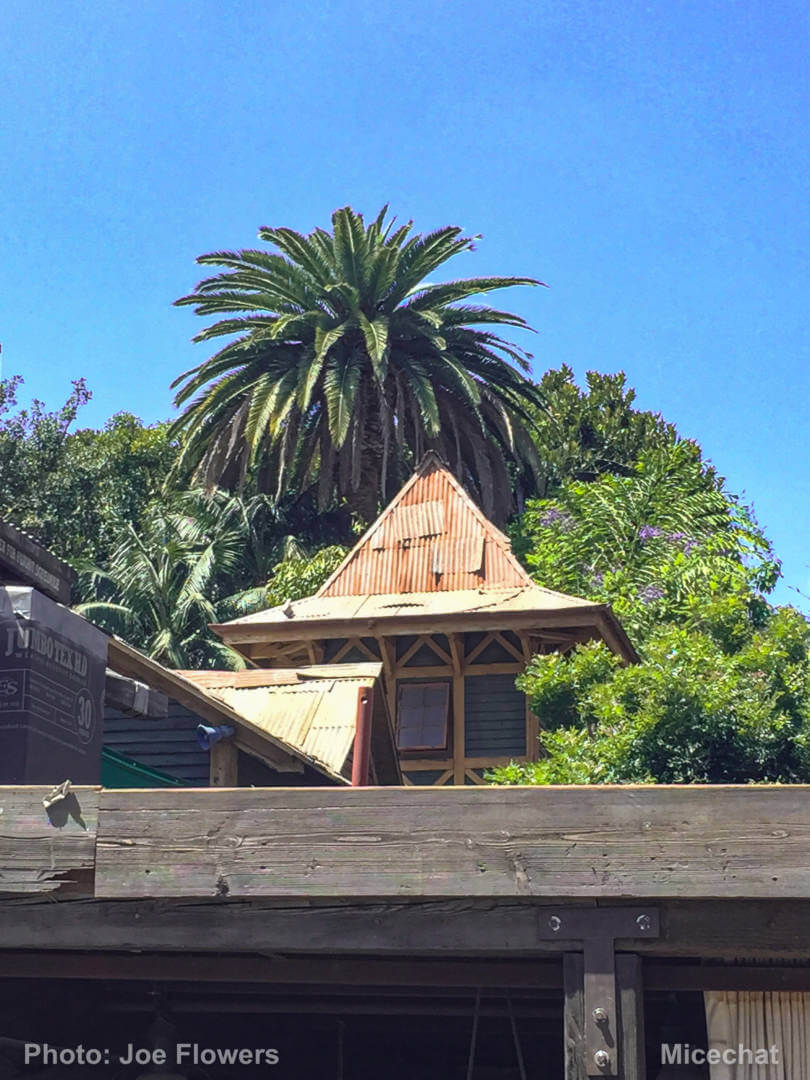 , Celebrating Spring with Disneyland’s Cultivating the Magic Tour