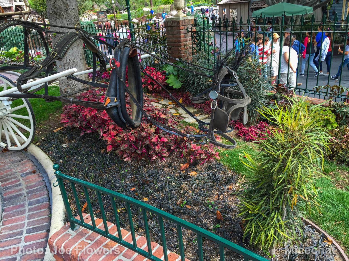 , Celebrating Spring with Disneyland’s Cultivating the Magic Tour