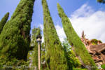 CultivatingTheMagic-Micechat-1030