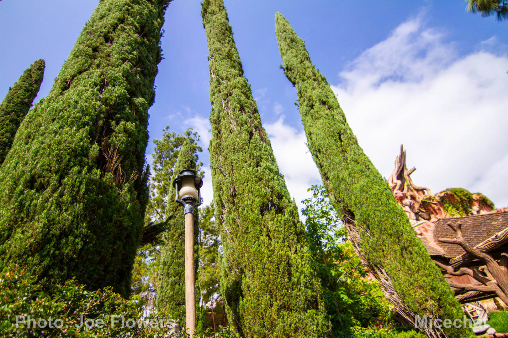 , Celebrating Spring with Disneyland’s Cultivating the Magic Tour