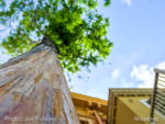 CultivatingTheMagic-Micechat-1033