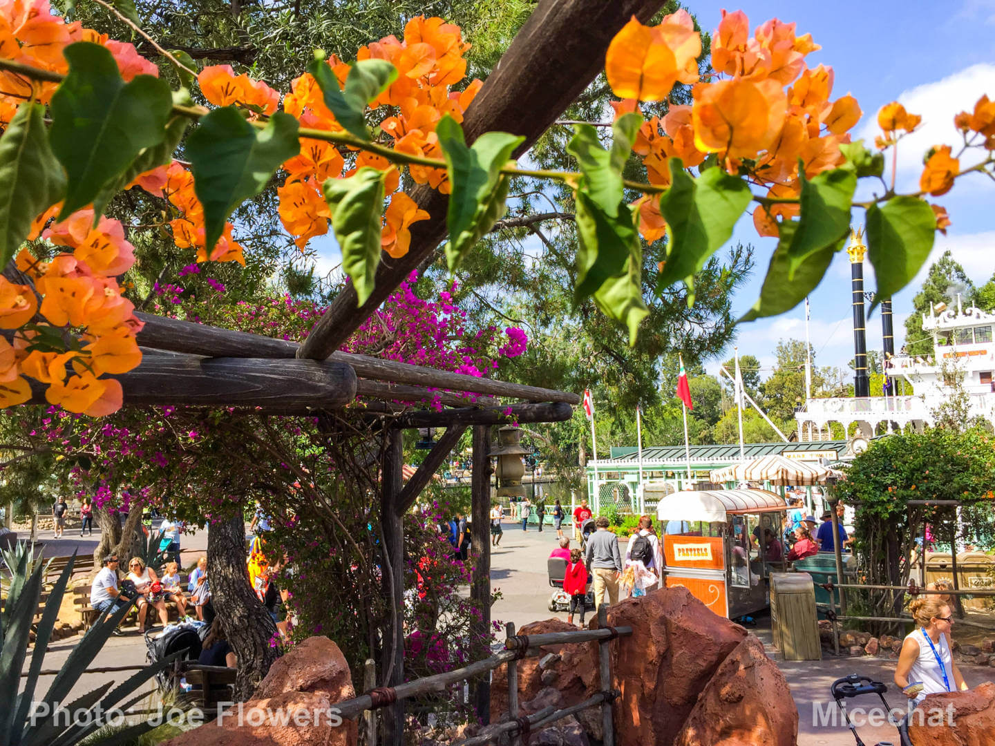 , Celebrating Spring with Disneyland&#8217;s Cultivating the Magic Tour