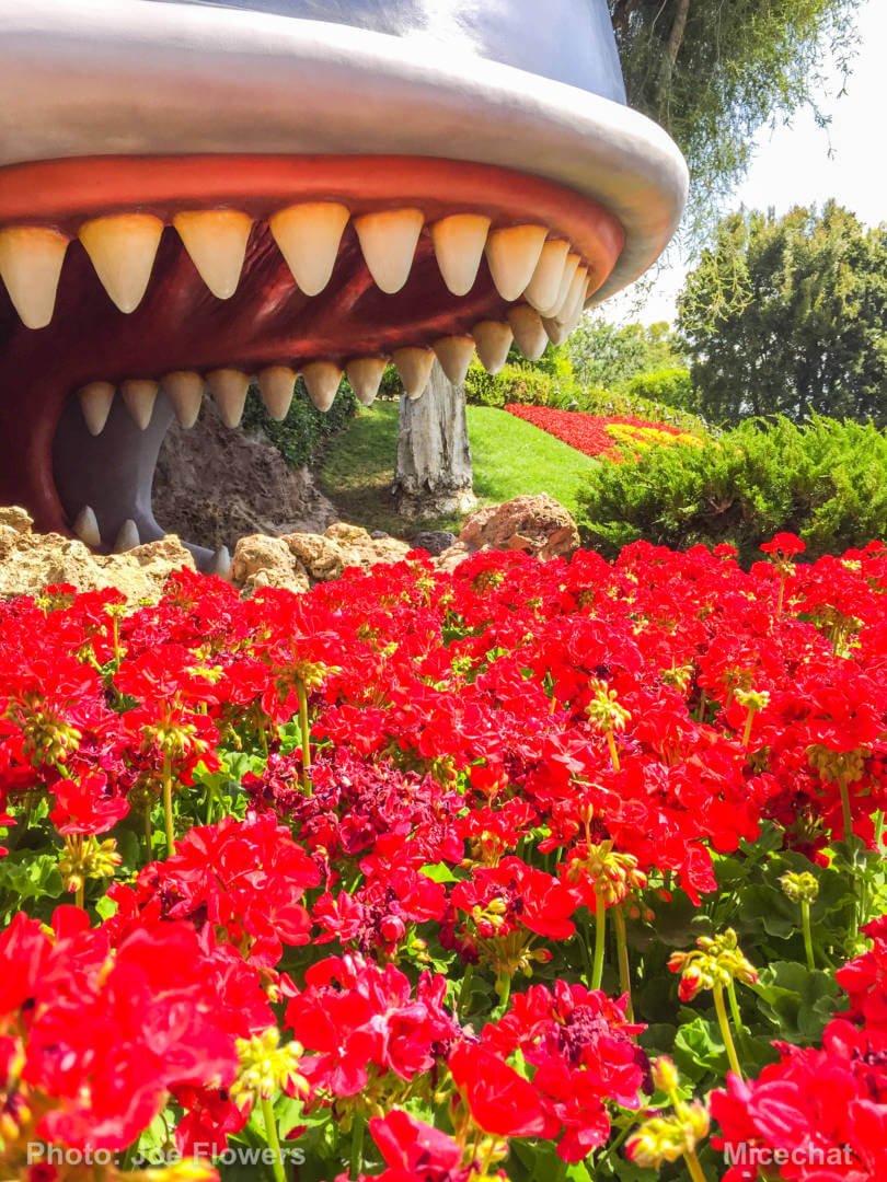 , Celebrating Spring with Disneyland’s Cultivating the Magic Tour