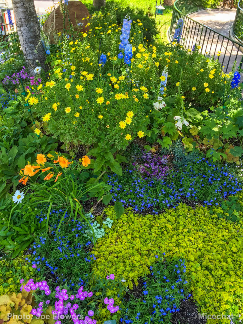 , Celebrating Spring with Disneyland’s Cultivating the Magic Tour