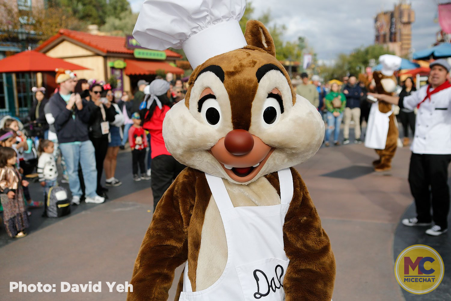 , Disneyland Update – Openings, Closings, and Glimmers of Hope