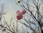 Disney California Adventure Balloon Sadness-micechat