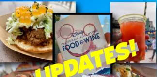 , MiceAge – A Different Look at Disney