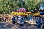 Disney California Adventure ODV Grotto 3
