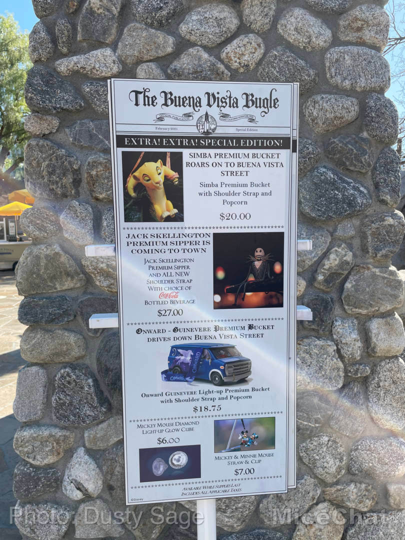 , Disneyland Update – Openings, Closings, and Glimmers of Hope