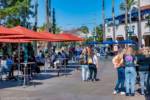 Disneyland-1-crowds by grizzly falls dining-micechat