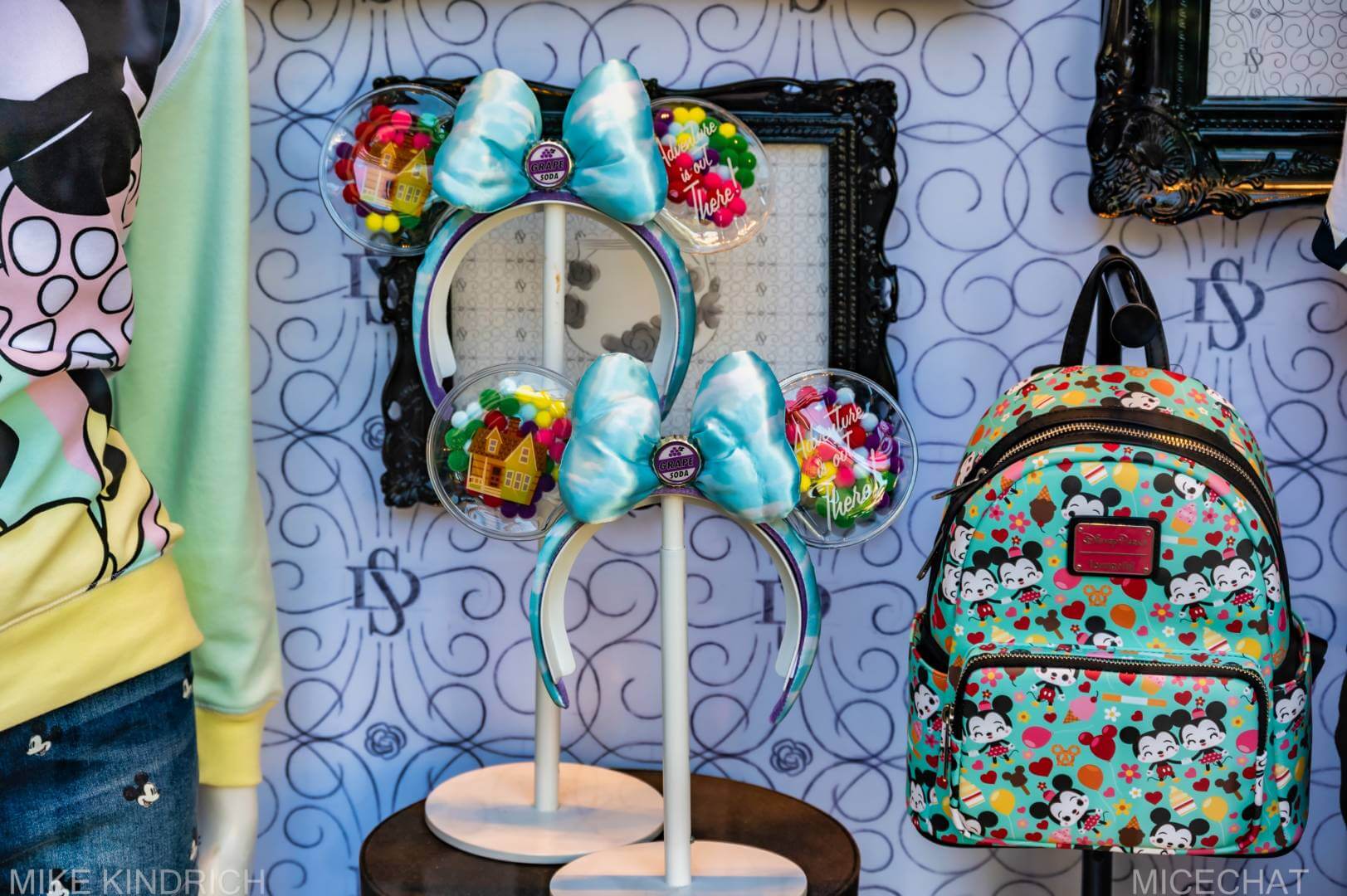 , Disneyland Update – The Billion Dollar Question