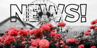 , Disney and Theme park news, reviews, tips, planning and more!
