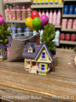 Disneyland-disney-home-store-up-house-succulent-planter