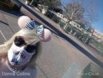 Donna Collins Disneyland Gates Together Again MiceChat