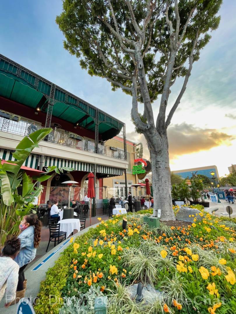 , Disneyland Update – Openings, Closings, and Glimmers of Hope