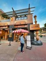 Downtown Disney Salt and Straw-micechat
