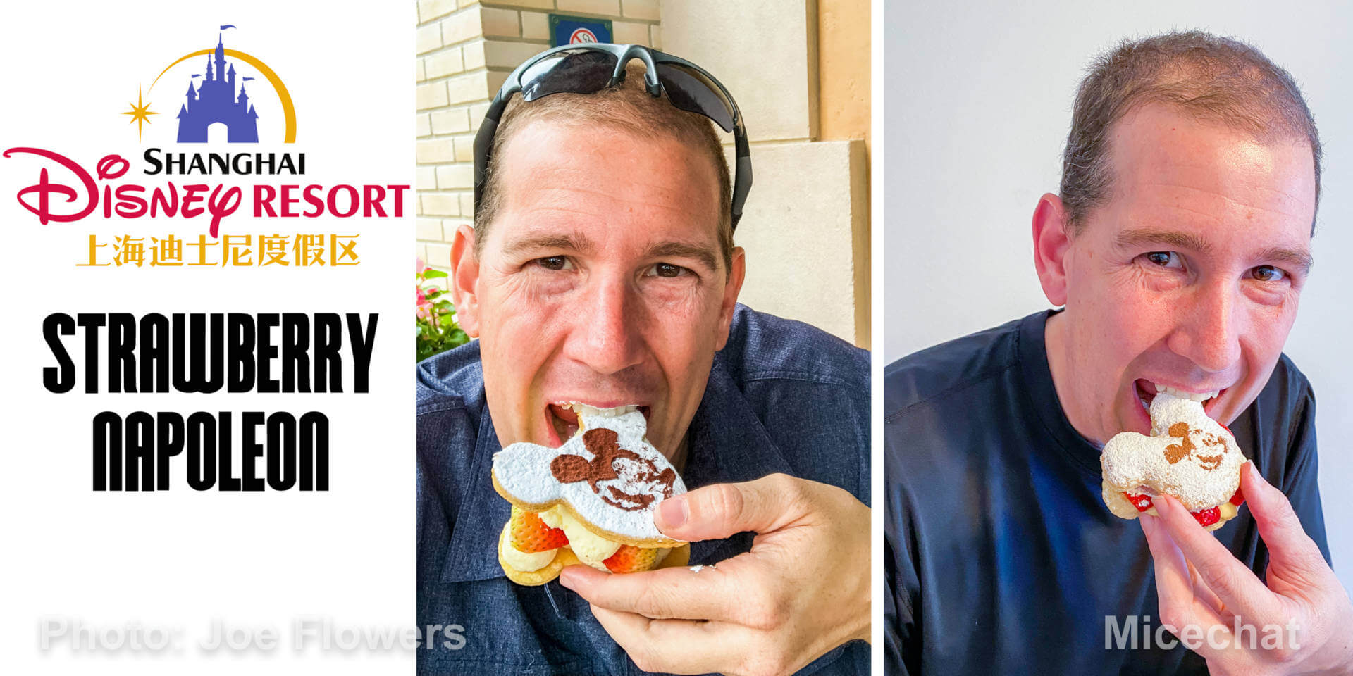 , Strawberry Day Treats At Home From EVERY Disney Resort in the World!