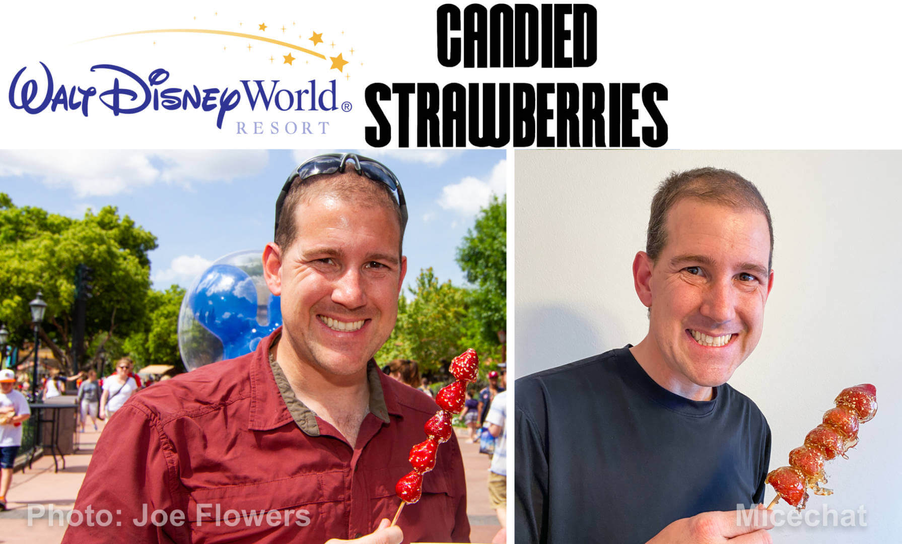 , Strawberry Day Treats At Home From EVERY Disney Resort in the World!