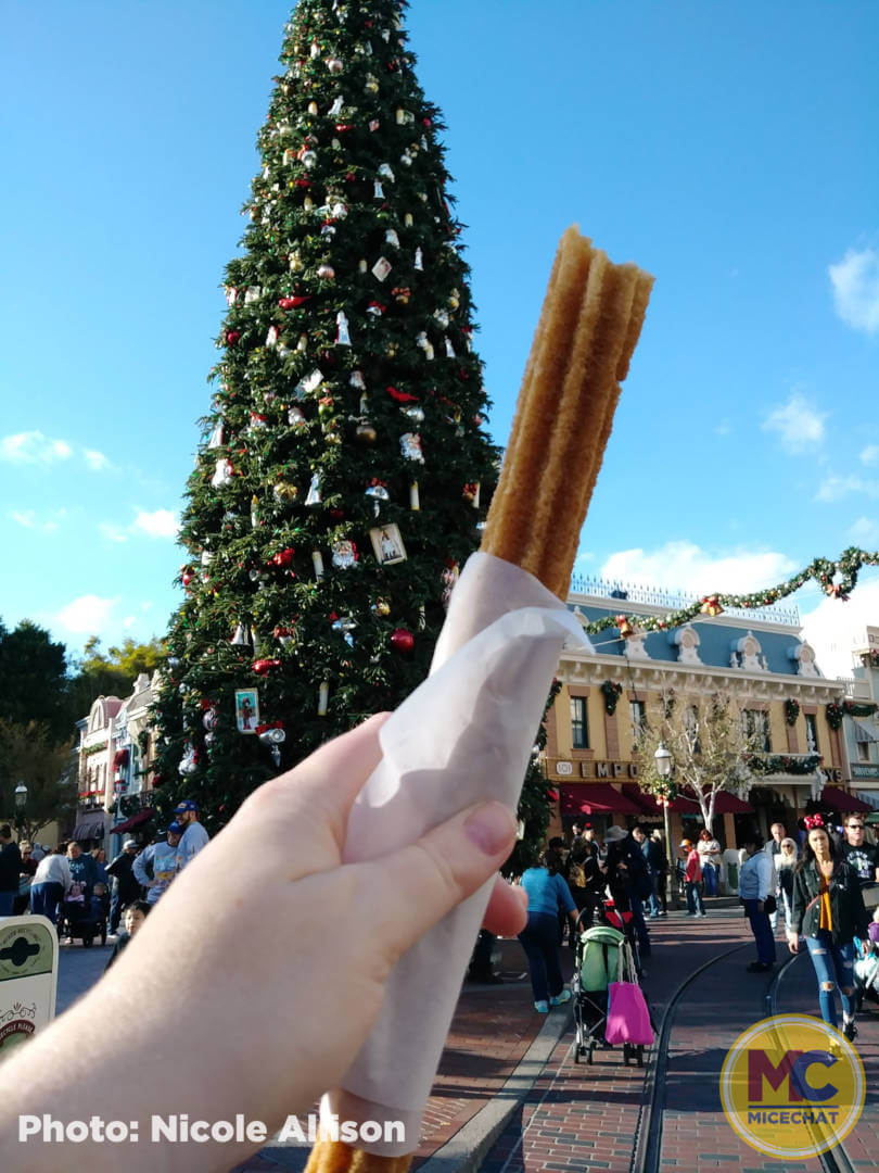, Disneyland Update – The Billion Dollar Question