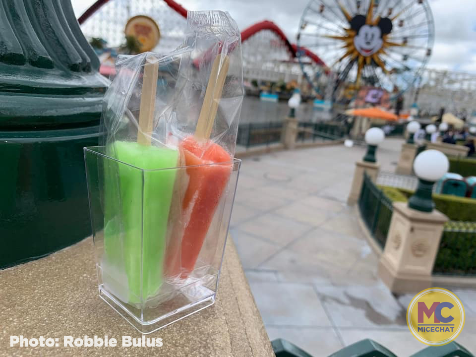 , Disneyland Update – Openings, Closings, and Glimmers of Hope
