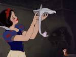 Snow White Pie with Bird